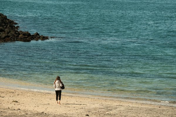Découvrez les Surprenantes Vertus des Légumes Fermentés pour Booster votre Santé Digestive